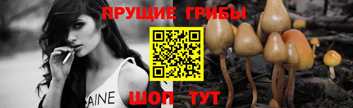 Галлюциногенные грибы прущие грибы  Вход с VPN  где продают наркотики  Карталы 